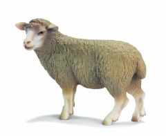 SHL13283 - Mouton debout