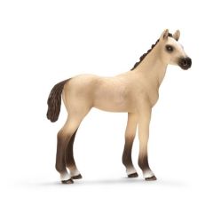 SHL13702 - Figurine de l'univers des chevaux - Poulain de race Akhal-Teke