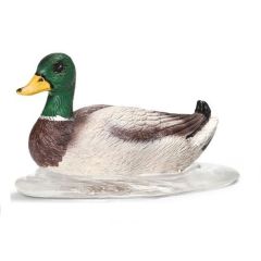 SHL13727 - Canard nageant
