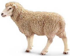 SHL13743 - Mouton
