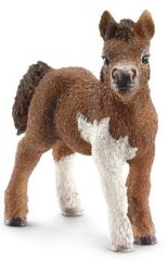 SHL13752 - Figurine de l'univers des chevaux - Poulain Shetland