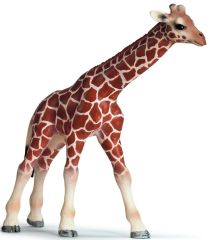 SHL14321 - Bébé Girafe