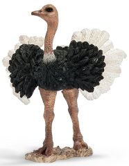 SHL14610 - Figurine de l'univers des animaux sauvages - Autruche Mâle