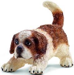 SHL16834 - Chiot Saint Bernard