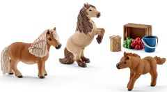 SHL41432 - Famille de Minishetlands