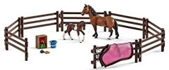 SHL42192 - Enclos avec accessoires