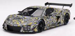 TS0540 - Voiture de 2023 de couleur gris - CHEVROLET Corvette C8Z06 GT3.R Sebring test car