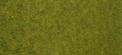 HEK1861 - Tapis 45x17cm d'herbes sauvages terrain boisé