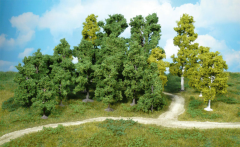 HEK1950 - 10 arbres fruitiers de 8-12cm en lot