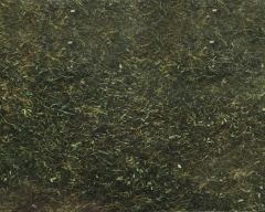 NOC08350 - Sachet de 20 g Herbe, sol de forêt de  2.5 mm