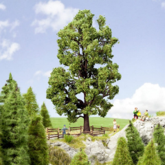 NOC21802 - Arbre - Châtaignier de 18.5 cm de hauteur