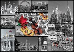 TRF10351 - Puzzle Vienne 1000 Pièces - Dimensions68 x 48 cm