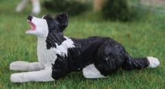 WMA12 - Chien de race Border collie position allongée - En Miniature