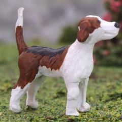 WMA8 - Chien de race Foxhound en miniature position debout