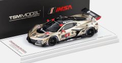 Voiture des 12H Sebring 2024 pilotée par Tommy MILNER - CHEVROLET Corvette Z06 GT3.R #4