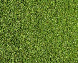 Heki 1679 Feuillage vert pâturage, 28 x 14 cm - francis miniatures