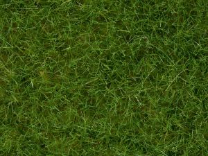 NOC07092 - Flocage vert clair 100g 6mm en pot