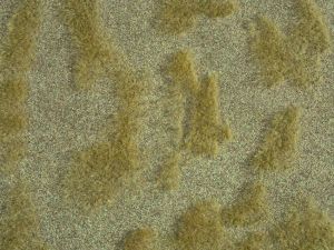 Tapis 25x25 cm – steppe herbeuse