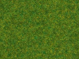 NOC08214 - Sachet de 20g d'herbes gazon d'ornements - 1.5 mm