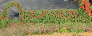 HEK11811 - Décor pour diorama - 2 Haies de roses - 7x14 mm - 50 cm de long.