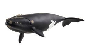 SHL14878 - Figurine de l'univers Wild Life - Baleine de l'Atlantique