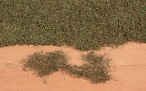 HEK1680 - Décor pour diorama - 28x14cm - Flocage pour feuillage vert automnal