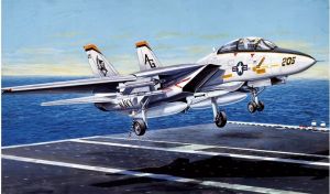 Maquette à assembler et à peindre – F-14A Tomcat
