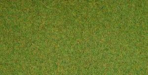 NOC00265 - Herbage pré en tapis de 120x60 cm
