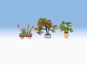 Plantes en pot