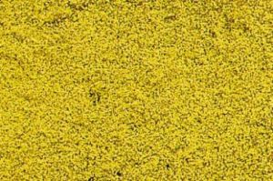 HEK1589 - Tapis 24x14cm de fleurs jaune