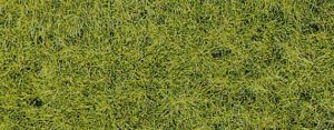 HEK3376 - Paquet d'herbe de printemps XL 10mm de 50g
