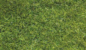 HEK3369 - Paquet d'herbe sauvage vert foncé 5-6mm de 75g