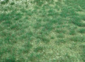 Tapis 45x17cm d'herbes sauvages vert de terrain marécageux
