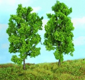 HEK19103 - 2 Arbres de 18 cm – Hêtres