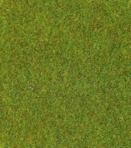 Tapis d'herbes "Vert clair" 40x24 cm