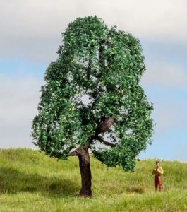 NOC20111 - Arbre de 10cm de hauteur - Chêne