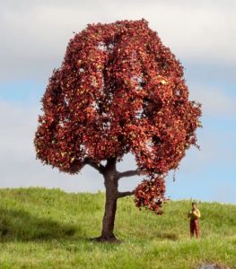 NOC20151 - Arbre de 10cm de hauteur - Hêtre rouge