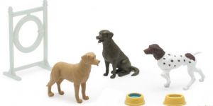 NEW34132B - Coffret d’accessoires et obstacle avec 3 Chiens