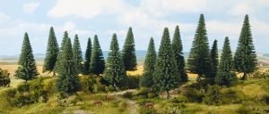 NOC24643 - 16 arbres hauteur 4 à 10 cm - Sapins