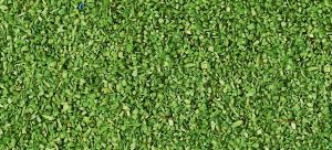 HEK3312 - Décor pour diorama - Matière à floquer 85g couleur vert clair