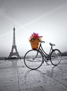 Puzzle de 500 Pièces PARIS – Promenade Romantique