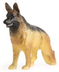 ERT46531 - Chien Berger Allemand