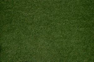 Herbage vert foncé en tapis de 120x60cm
