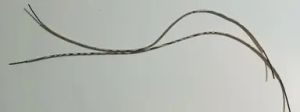GF-ACC-06 - Accessoire - longueur 150mm - Flexibles blindés de 1.5mm