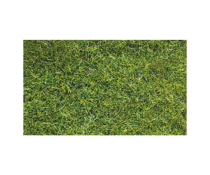 HEK3369 - Paquet d'herbe sauvage vert foncé 5-6mm de 75g