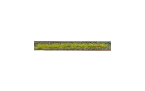 HEK1810 - 10 bandes d'herbes de printemps de 10cm par lot