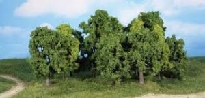 12 arbres à feuilles de 8-13cm en lot