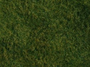 Foliage d'herbes sauvage de couleur vert clair - Dimensions: 20 x 23 cm