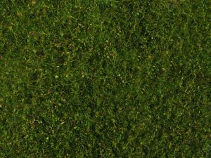 NOC07291 - Foliage de pré de couleur vert moyen - Dimensions : 20 x 23 cm