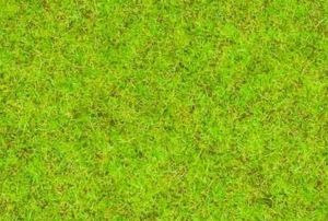 NOC08300 - Sachet d'herbe de couleur vert moyen - 2.5 mm